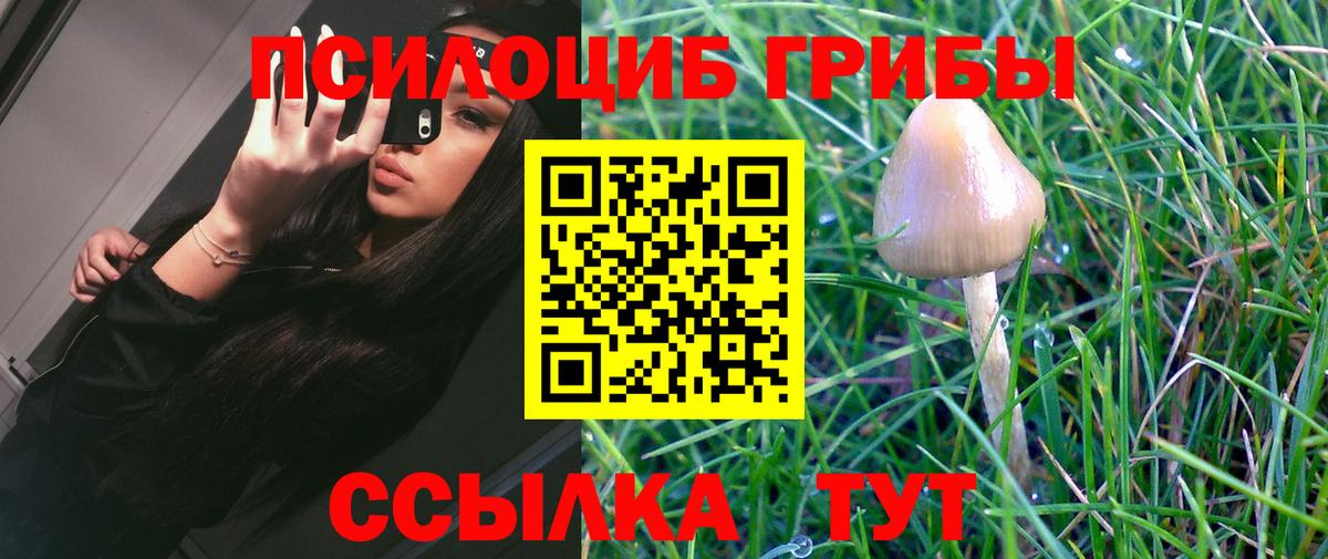 Псилоцибиновые грибы прущие грибы Иваново